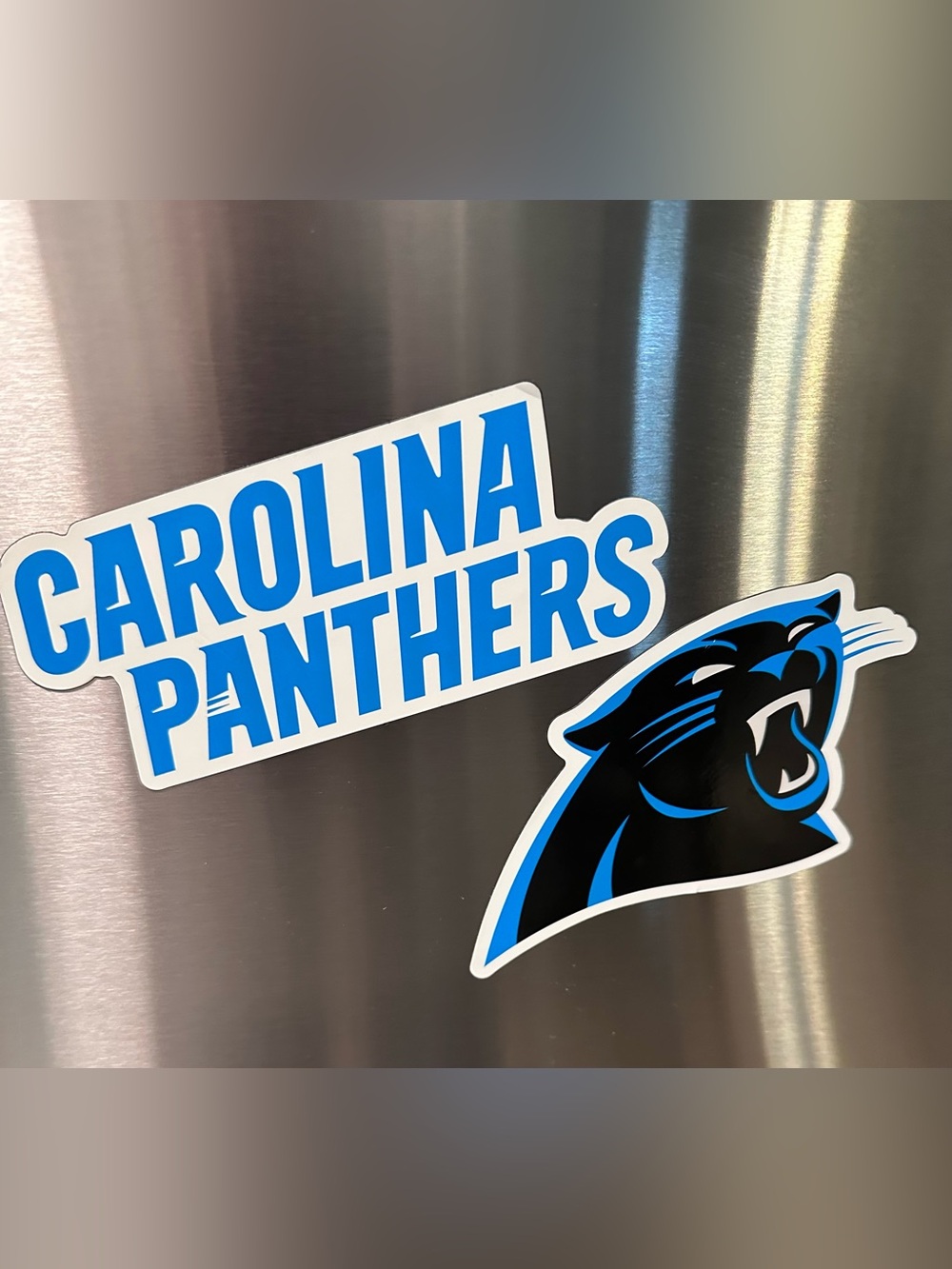 Carolina Panthers NFL Magnetic Decal Set Team Logo & Wordmark